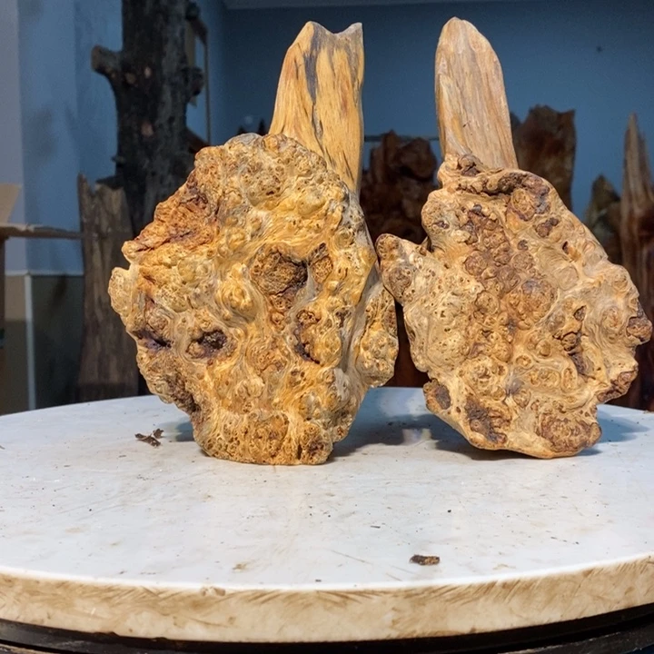 天**览我们都是你的粉丝43