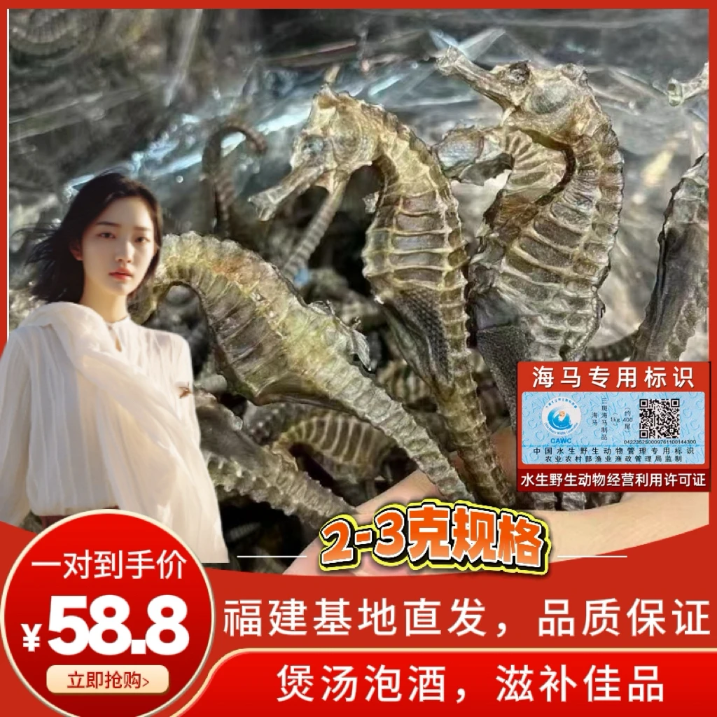 【5克/2只线纹特大马】药典海马干货1对5克煲汤泡酒2-3斤