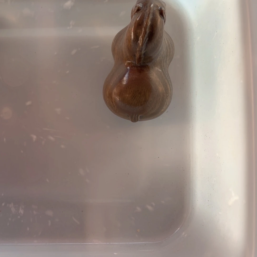 茶***客木绿檀木唐马把件