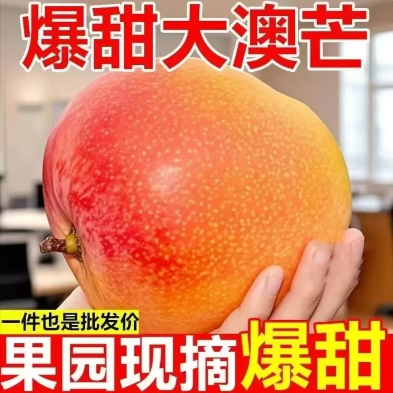 正宗苹果芒澳芒软糯多汁新鲜采摘包邮---M