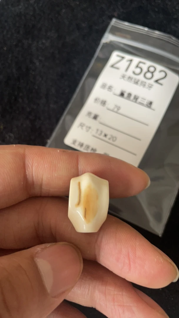 Z1582天然猛犸牙鲨鱼背配饰三通