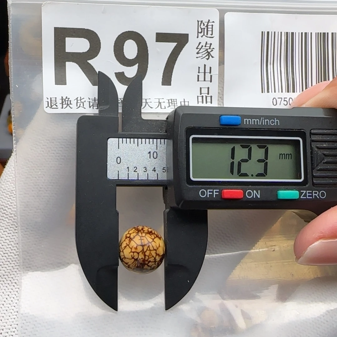 裸石琥珀未镶嵌12尺寸