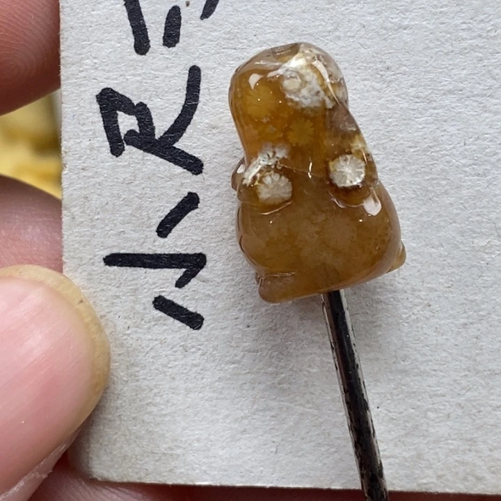 硅化珊瑚（珊瑚玉）未镶嵌颈饰