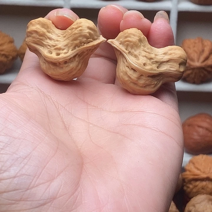 文玩核桃吊坠小鸟