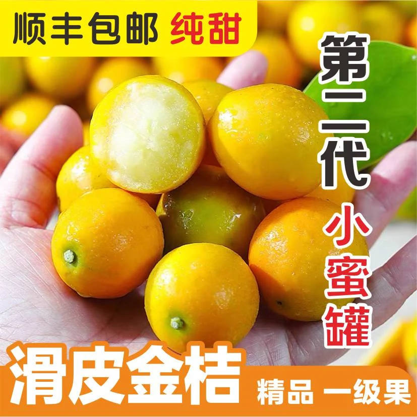 【二代滑皮】广西融安金桔脆皮滑皮金桔小蜜罐现摘现发新鲜整箱包邮