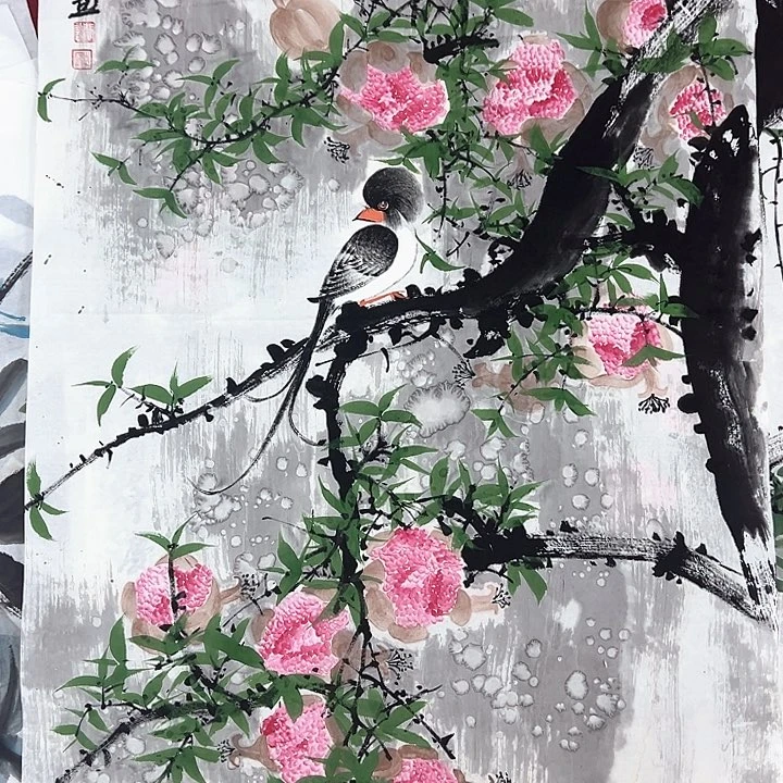 横款开播时间播出地点