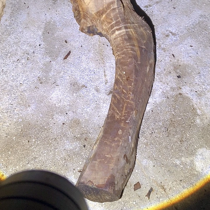 星***馆楠木（金丝楠）手串/手链