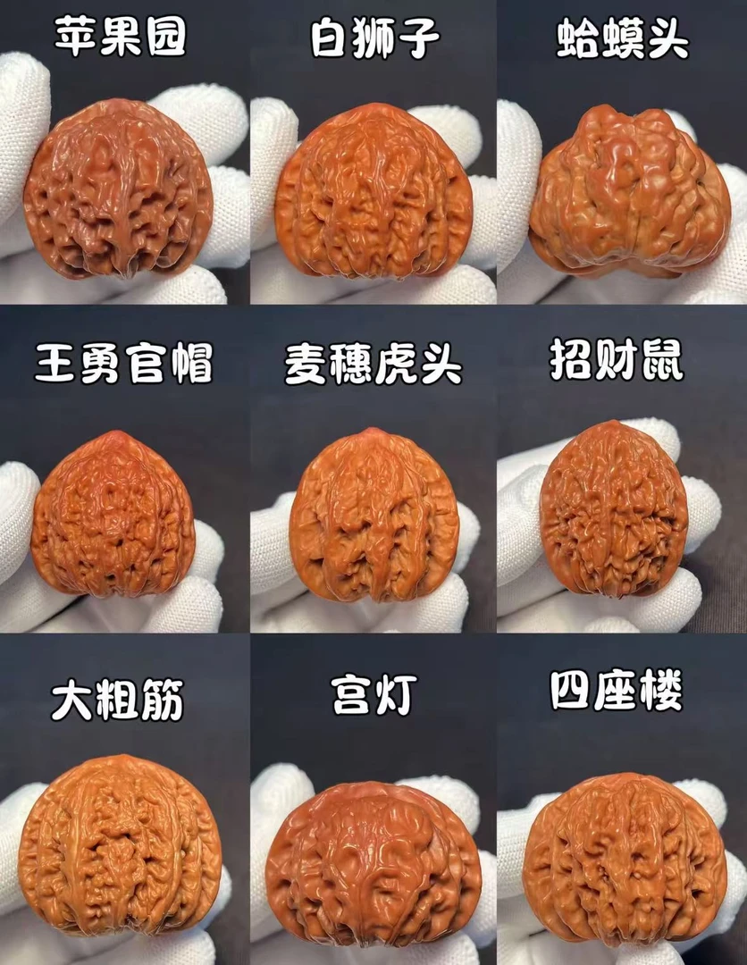 （直播一物一图）文玩核桃白狮子磨盘四座楼蛤蟆头元宝铁锤