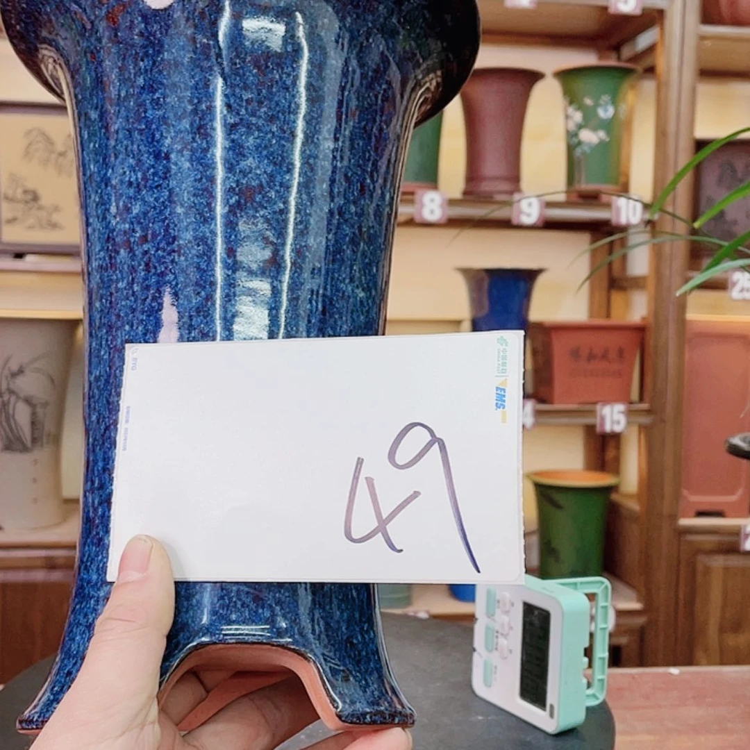 【闪购商品】紫砂花盆夏***风兰花455885558745658425