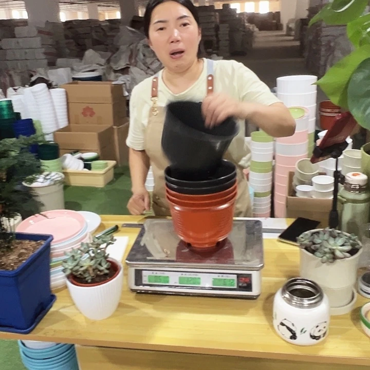 矮陶口18高12混色无托6只