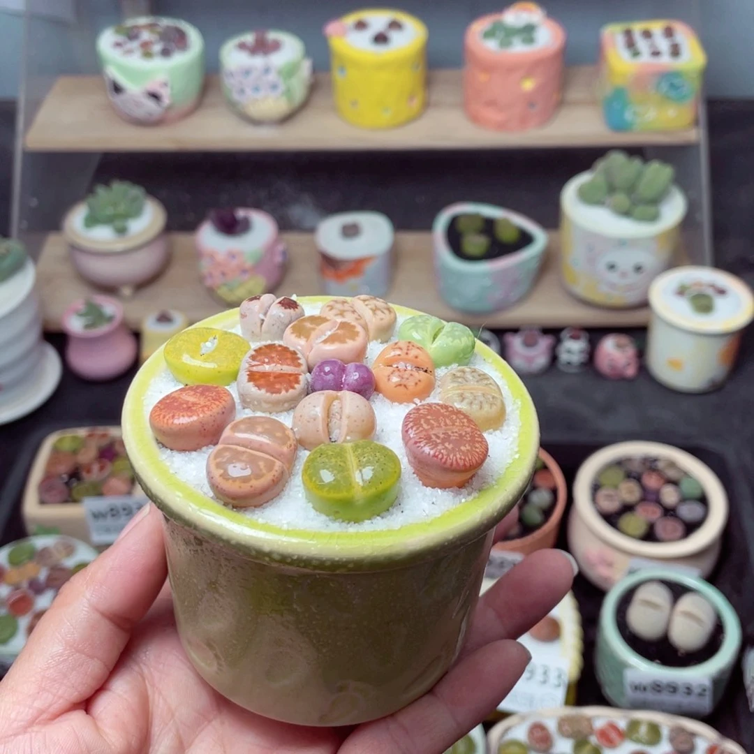 w8940 带盆土发货-零下地区拍保温箱