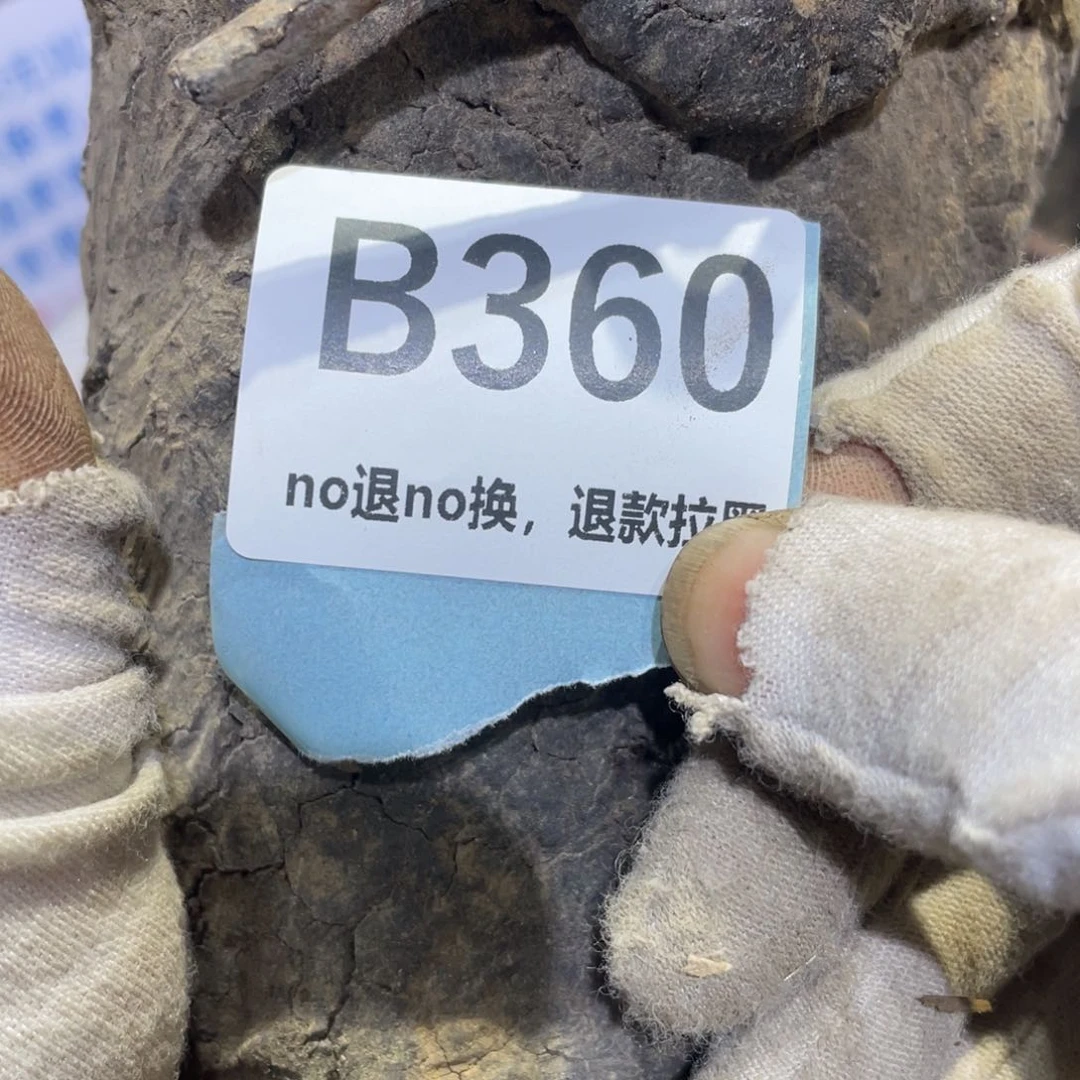 瓷片鹰**角火爆热卖热卖热卖