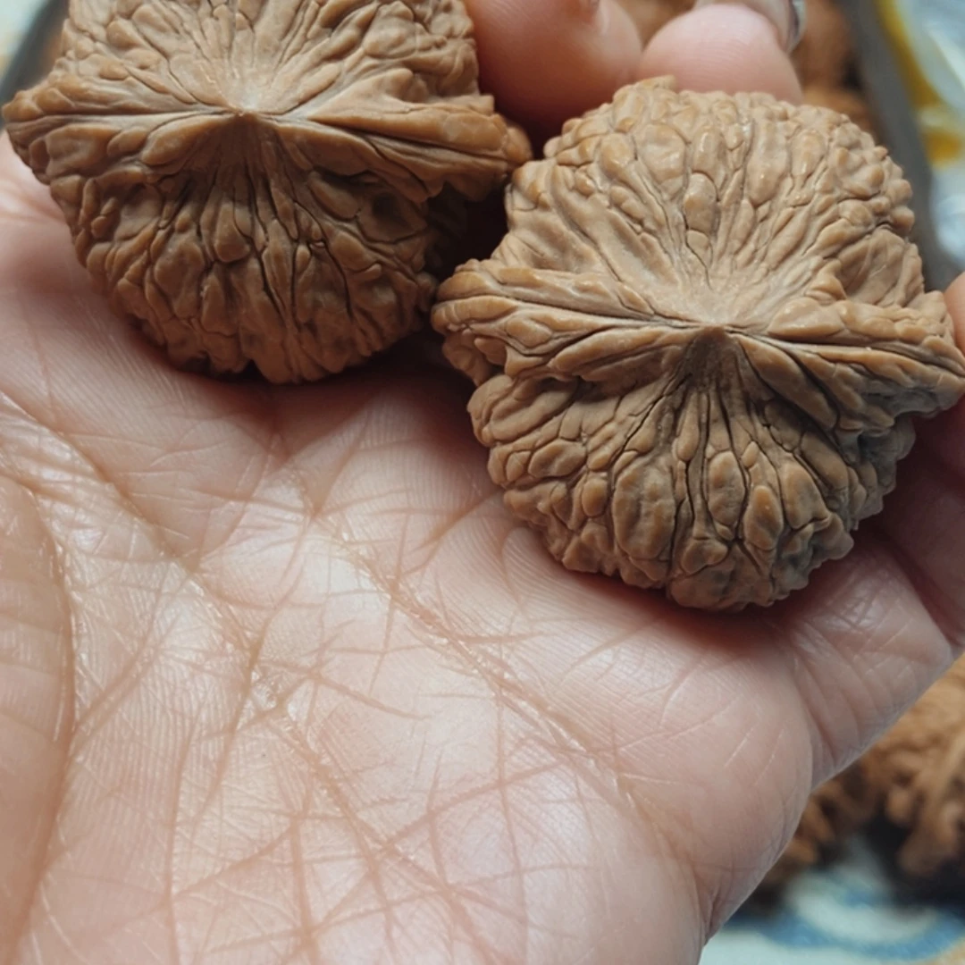 文玩核桃吊坠泥鳅背