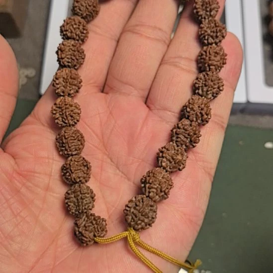 金刚菩提把件龙骨梅花大金刚手持，12左右尺寸，精挑细选