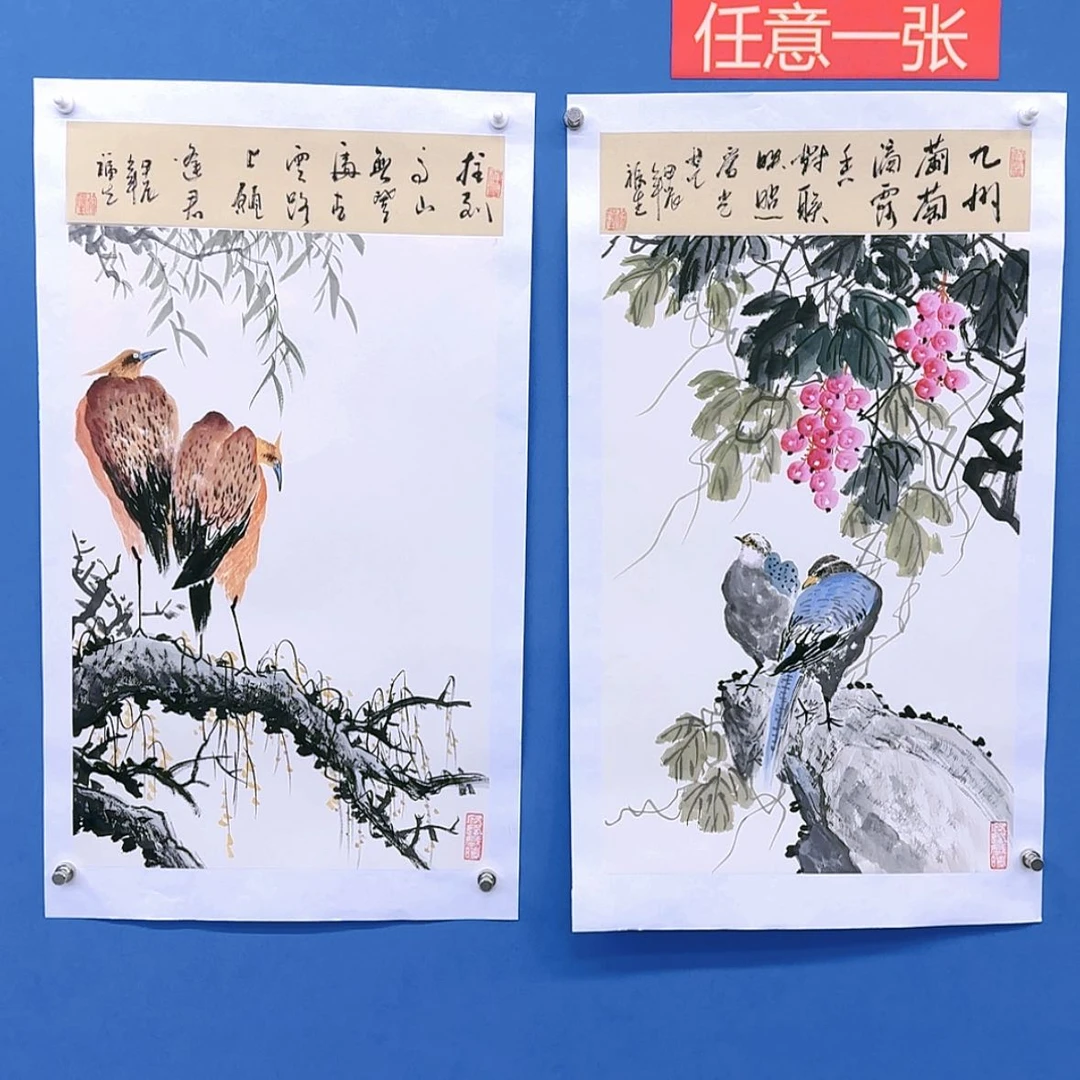 【闪购商品】国画书法作品欣赏，书法作品欣赏，书法