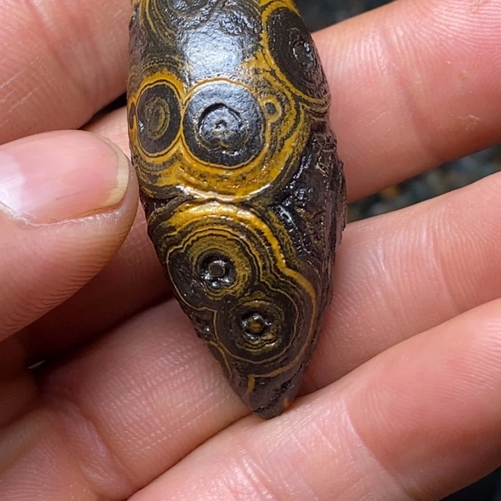 3***方完全开放你的手在线作业