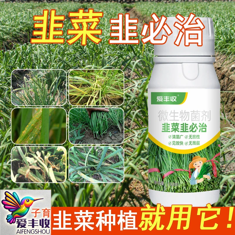 爱丰收韭菜韭必治生物菌剂叶面专用肥弱苗韭菜专用微生物菌肥