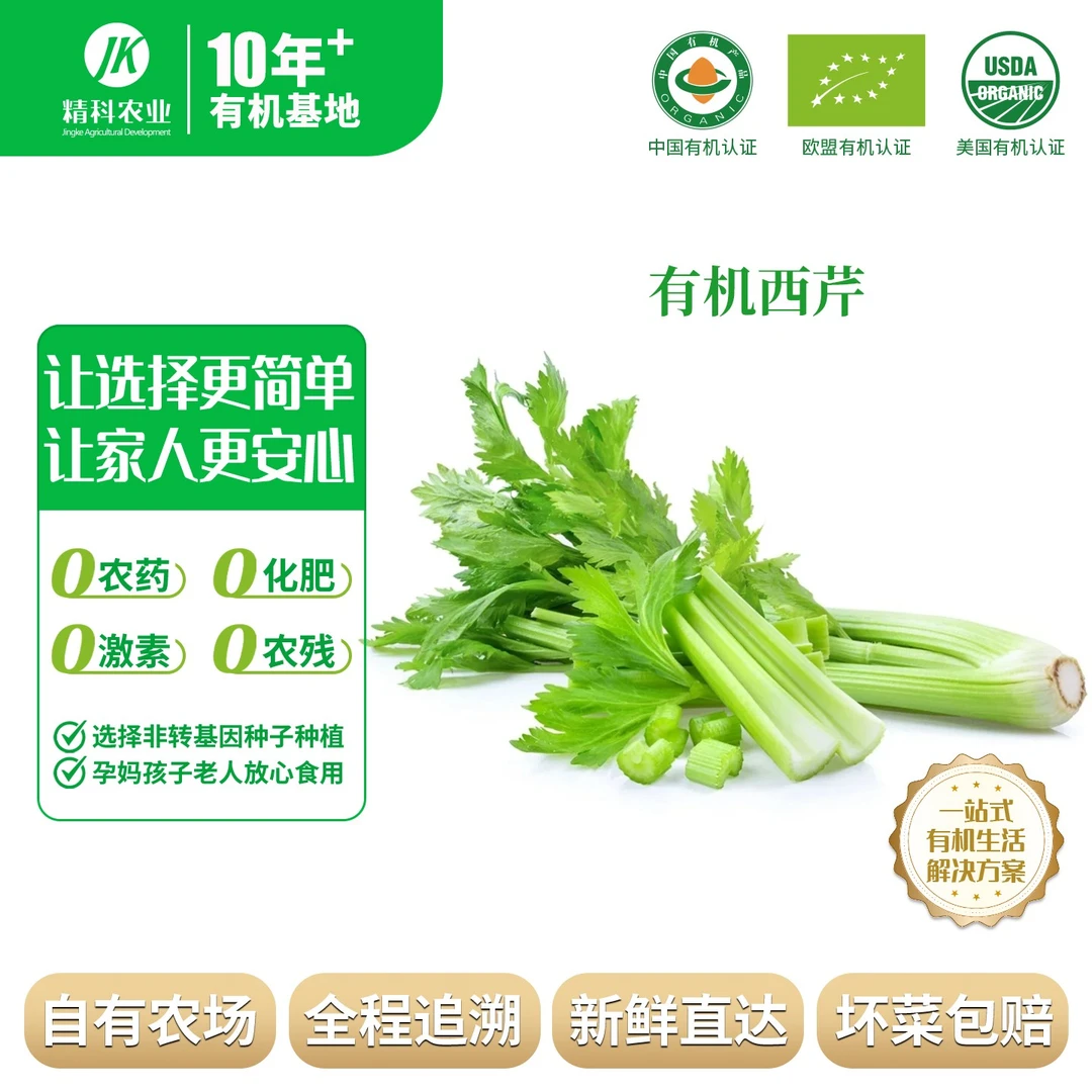 【精科农业】有机西芹5斤装 榨汁 顺丰包邮 现摘现发 清脆汁水丰富