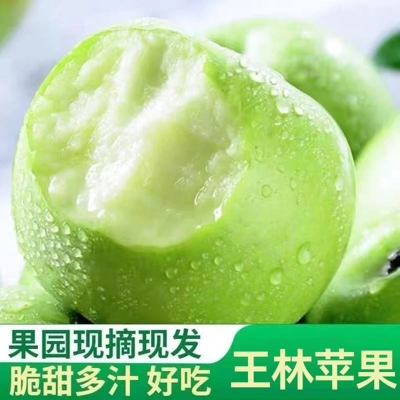 【顺丰/京东】山东雀斑王林苹果王林青森苹果新鲜水果脆甜多汁水果