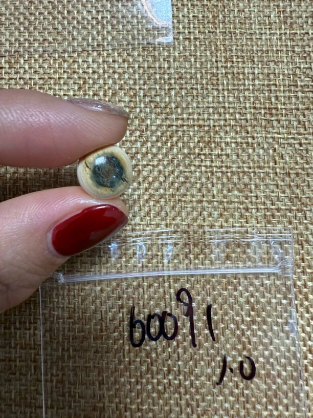 60091亚齐猛犸蓝眼睛单颗配饰