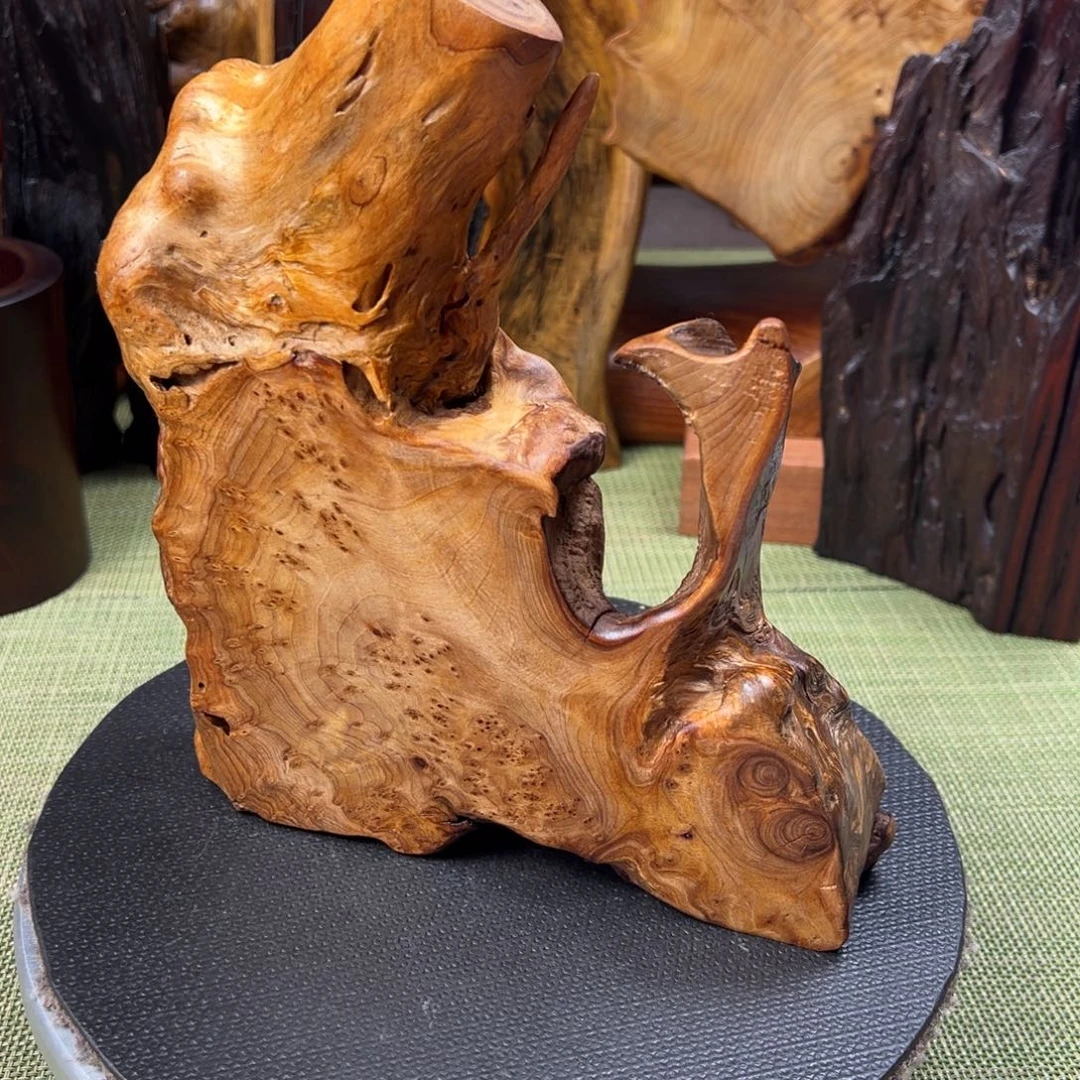 大果紫檀（缅甸花梨）泺*