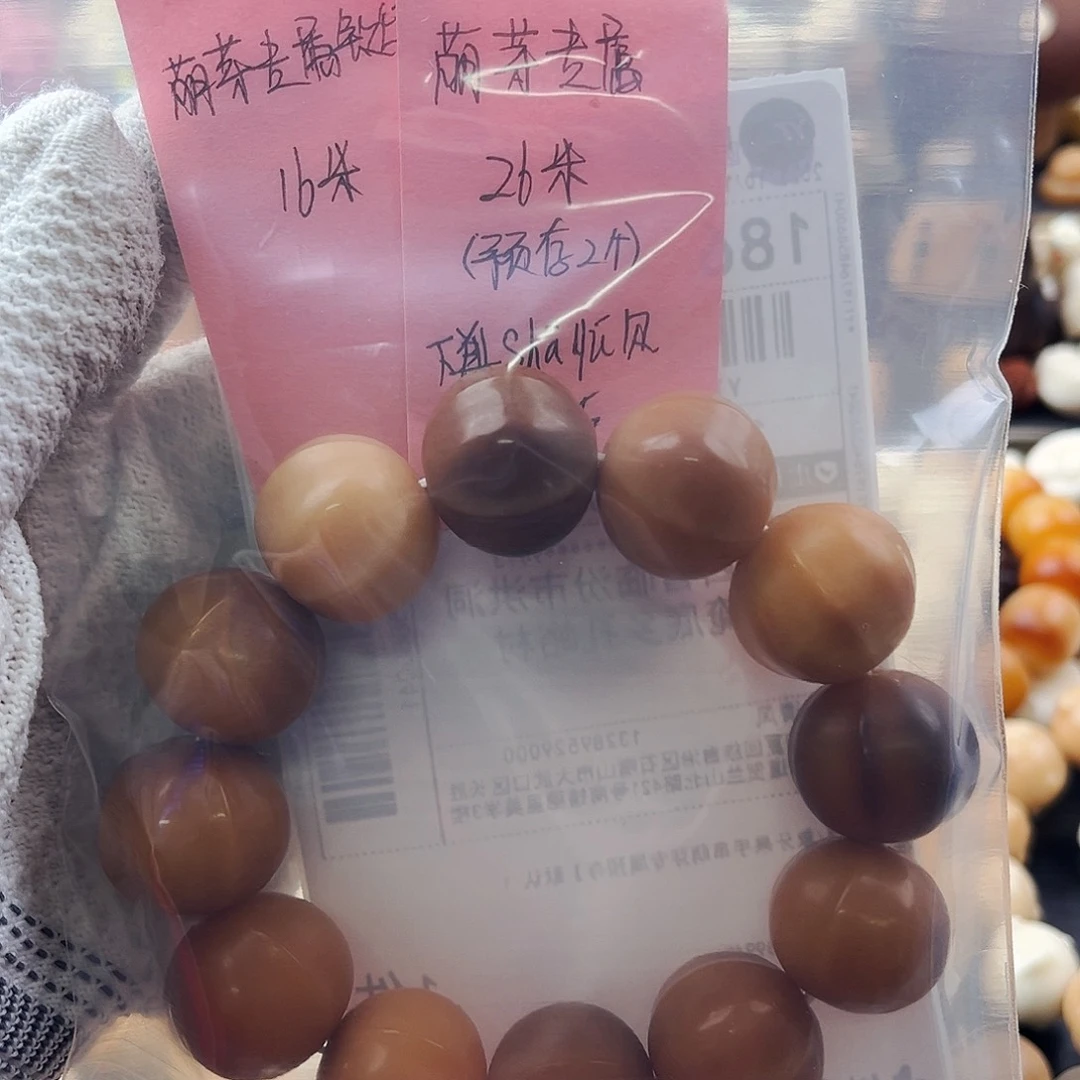 菩提根/象牙果手串萌芽专属鲨鱼贝