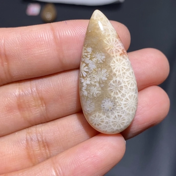 【闪购商品】未镶嵌珊瑚玉硅化玉
