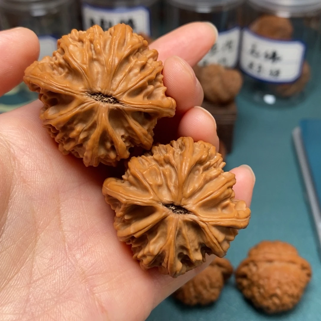 核桃42尺灯笼有修