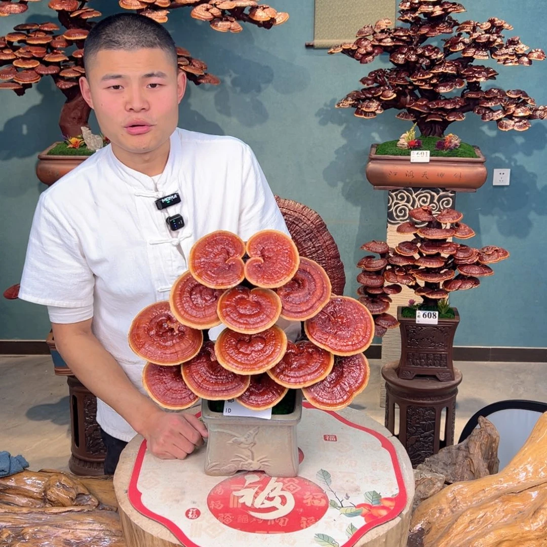 无花朵88888888888