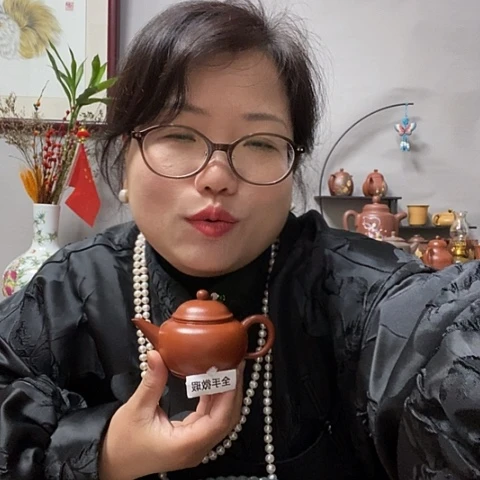 朱泥茶壶1234456788z sh