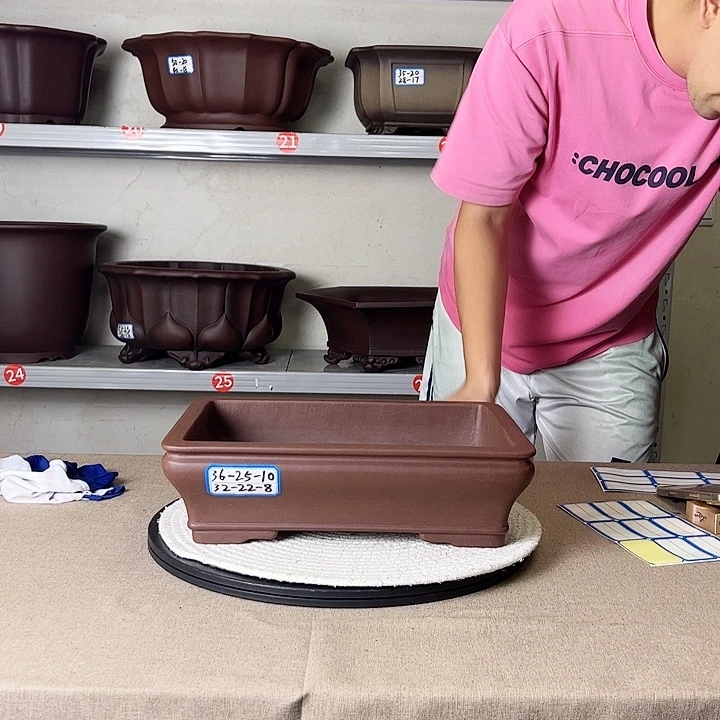 紫砂花盆哈哈哈哈哈