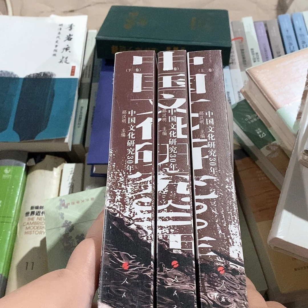 微瑕  文化研究30年  上中下