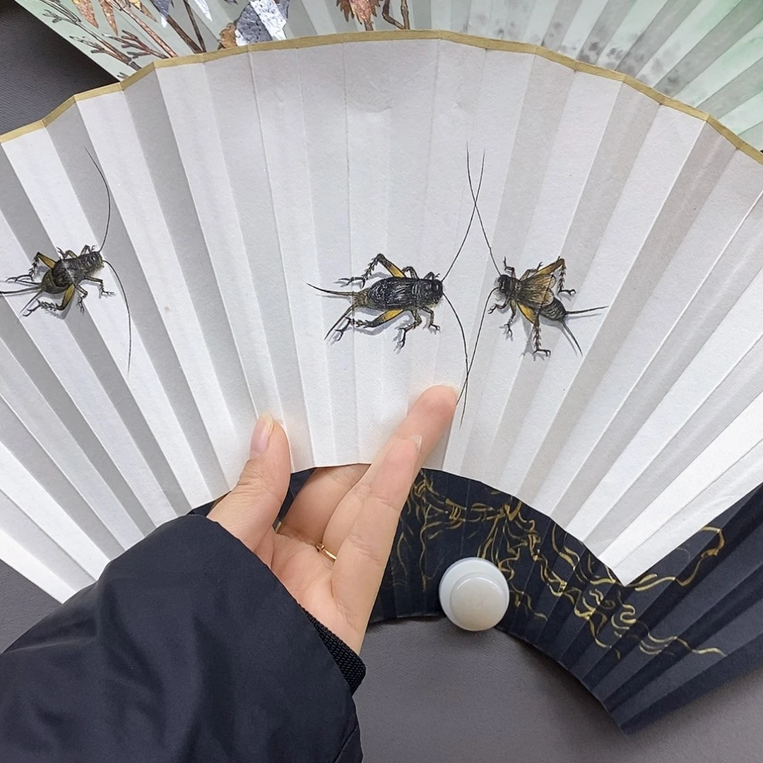 玉竹..玉竹..玉竹..玉竹