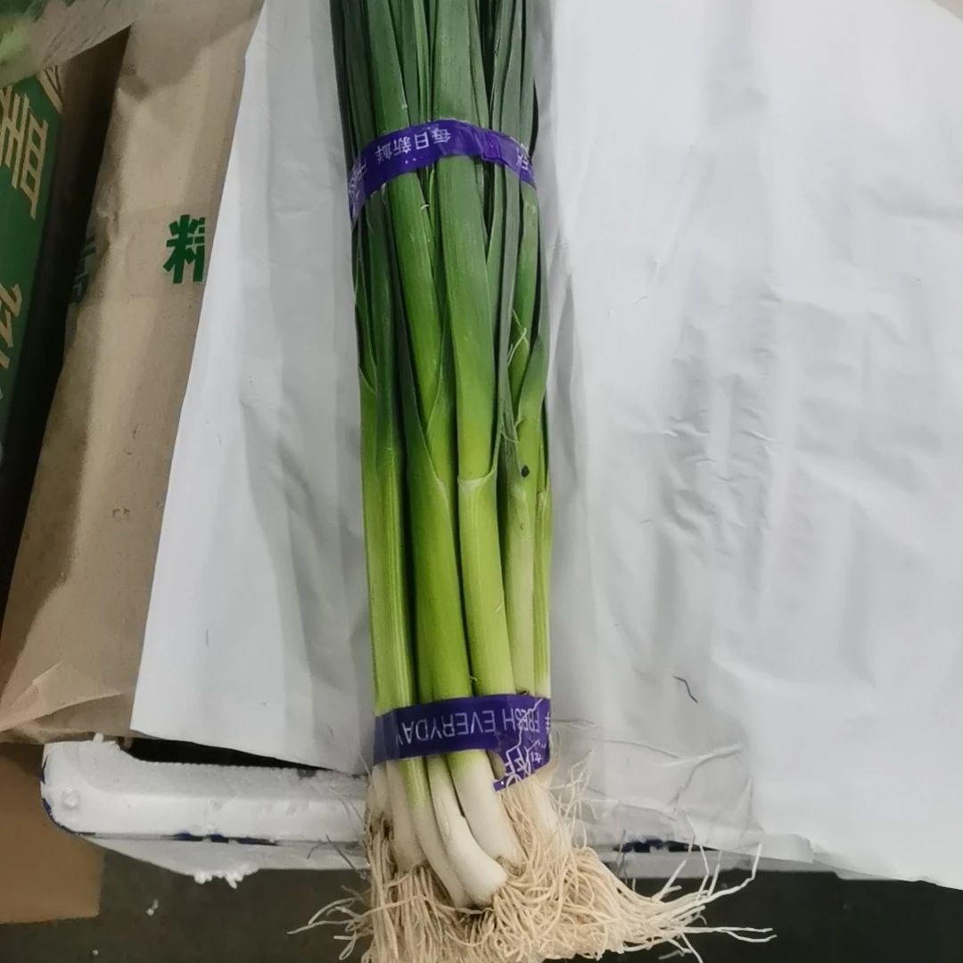 青蒜一捆约1.5斤