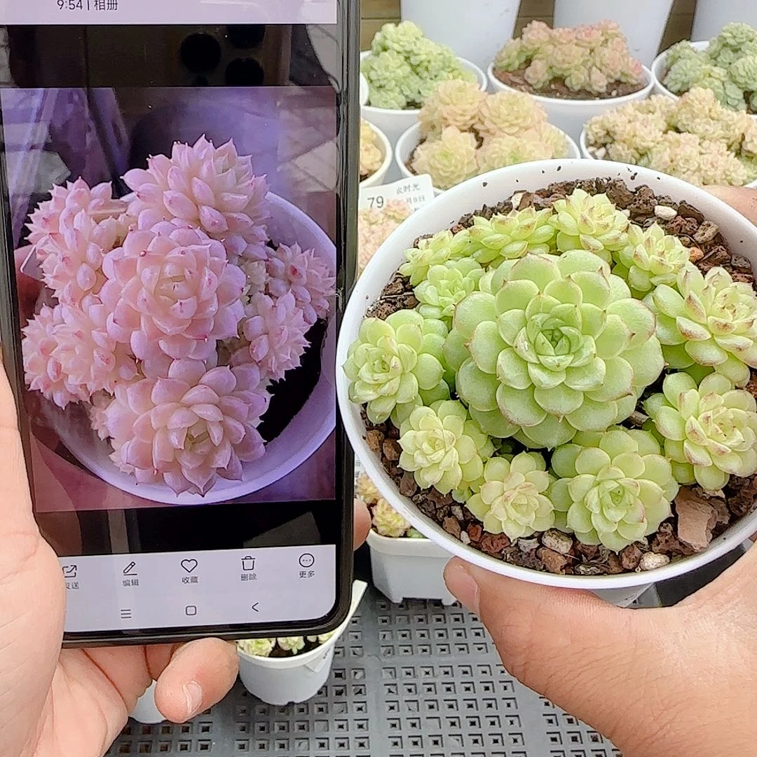 1108-86（ttp-23）优选