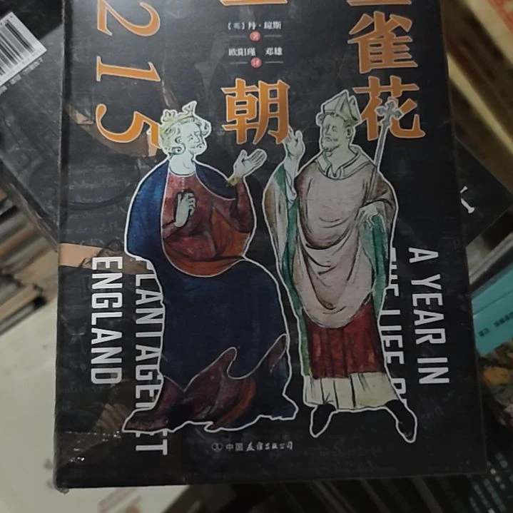 金雀花王朝精装塑封库存书