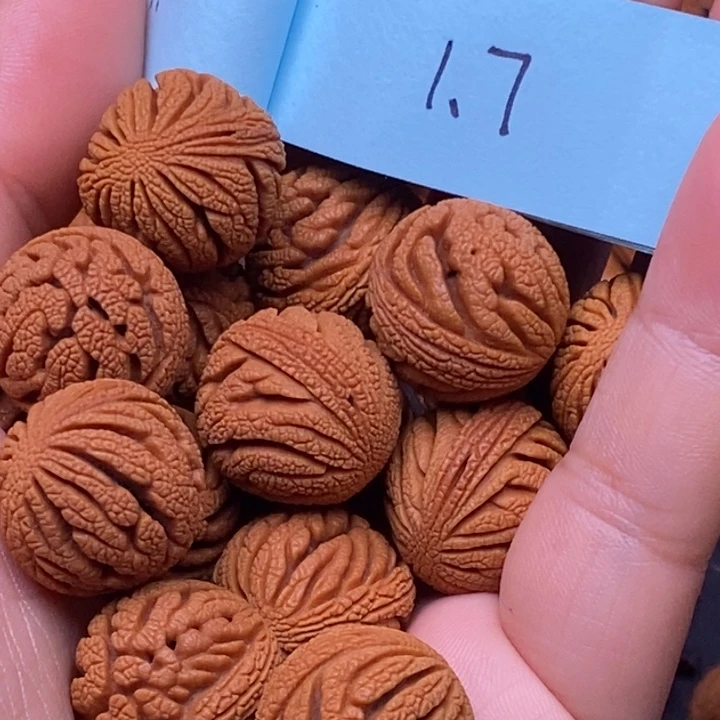 秦岭龙纹桃核15颗