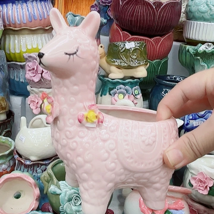 多肉植物陶瓷花盆