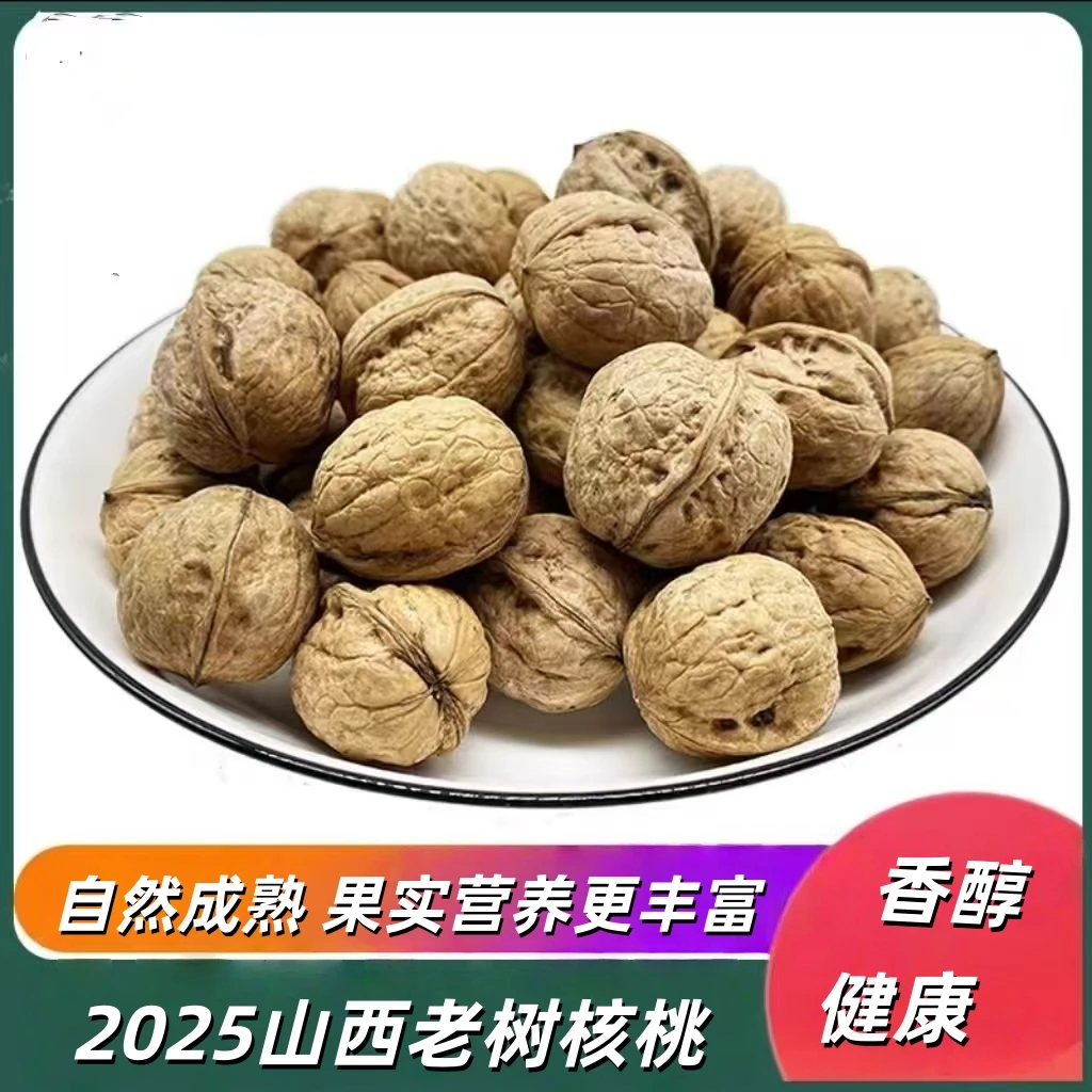 山西高山老树核桃自然晾晒不熏硫不泡药水野生硬壳山核桃
