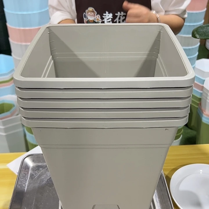 方盆口23高26灰白带托5只
