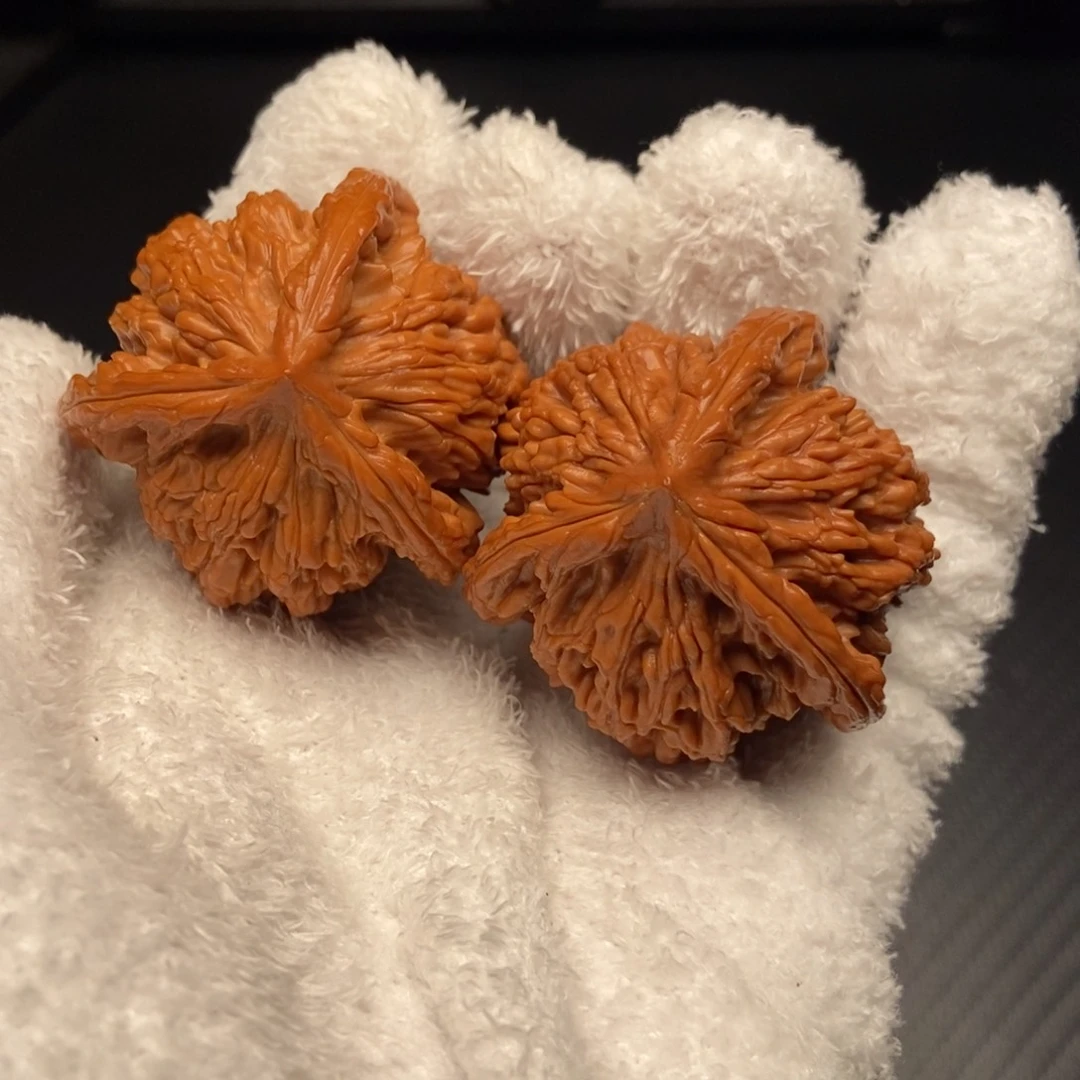 43全品天花板虎头王