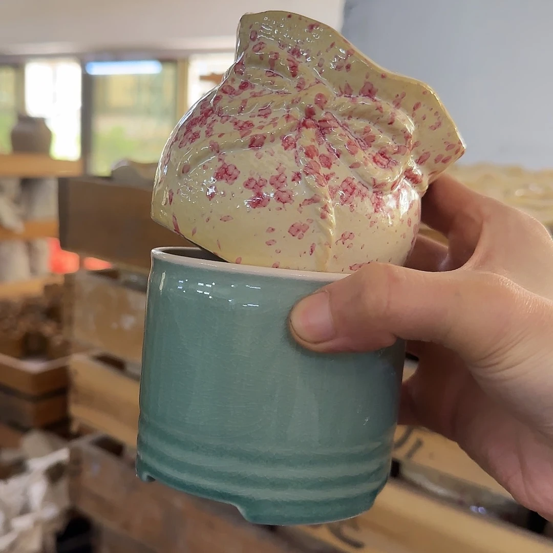 2个福利局［凑9元包邮24小时发］