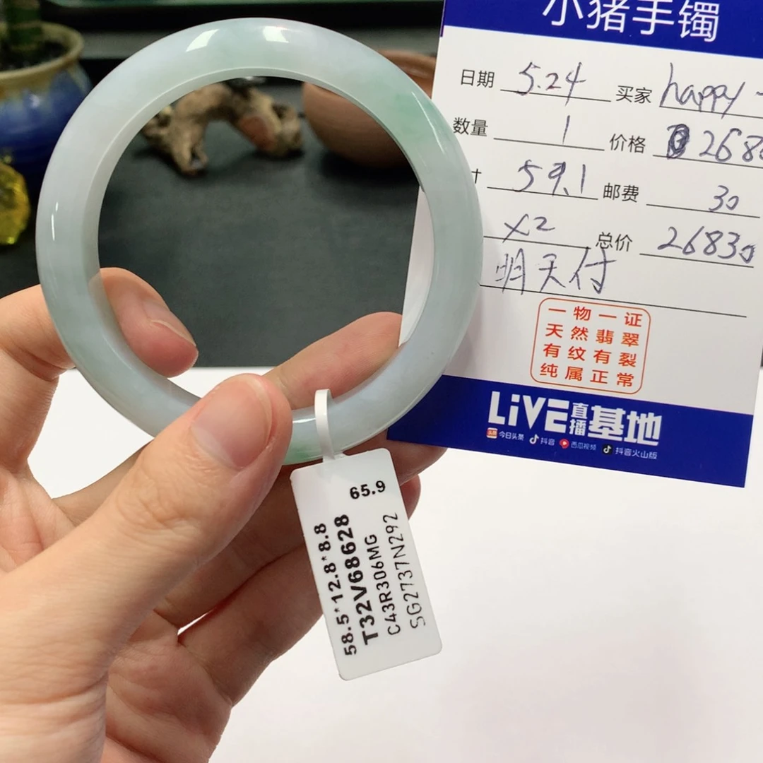 翡翠手镯未镶嵌h****5翡翠手镯未镶嵌