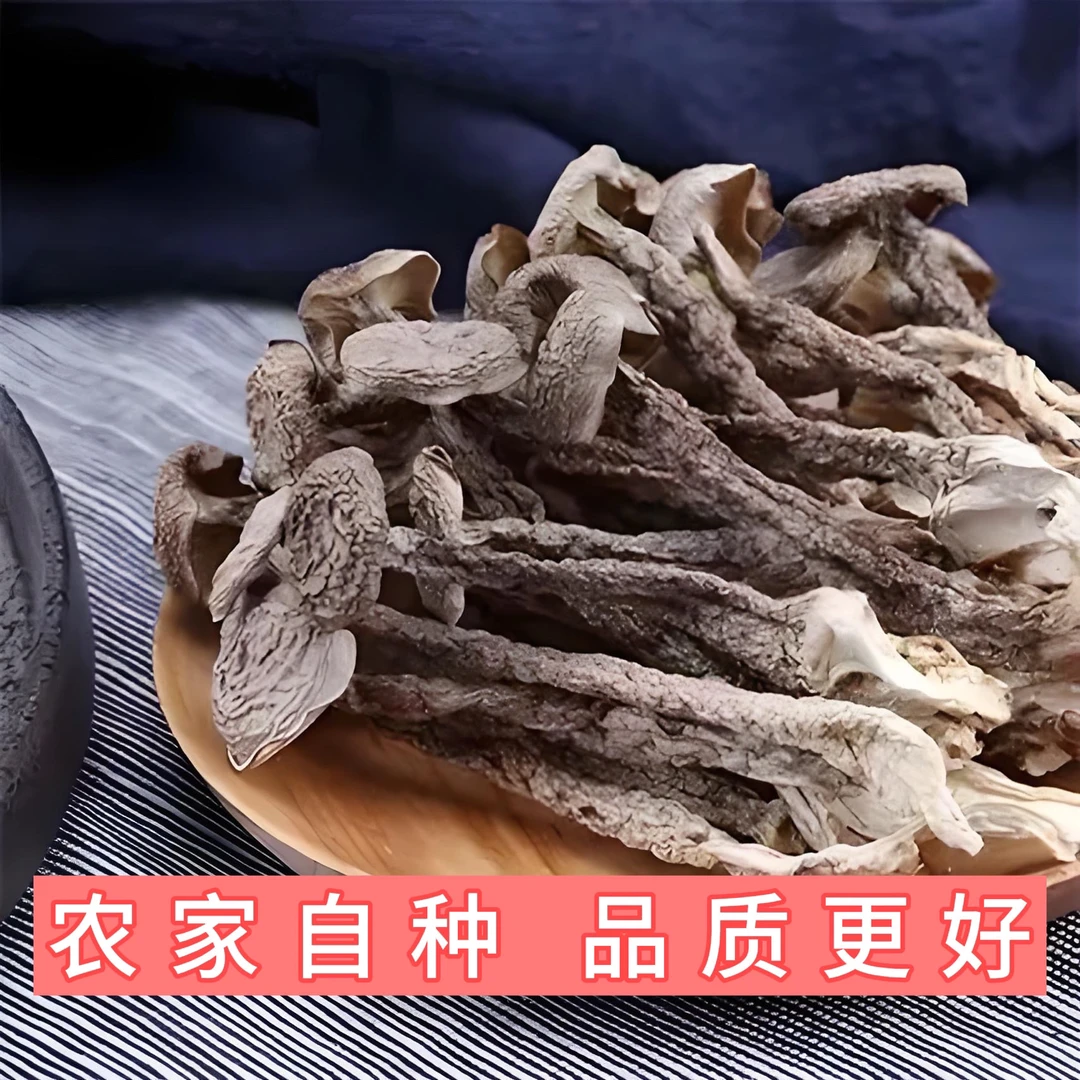 【上品鹿茸菇】-高山营养生态鹿茸菇鲜美脆嫩