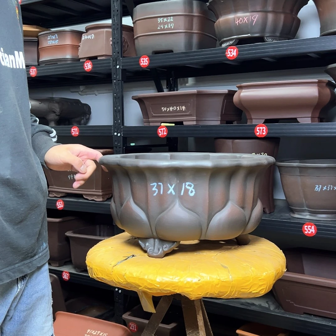 紫砂其他呜呜呜呜