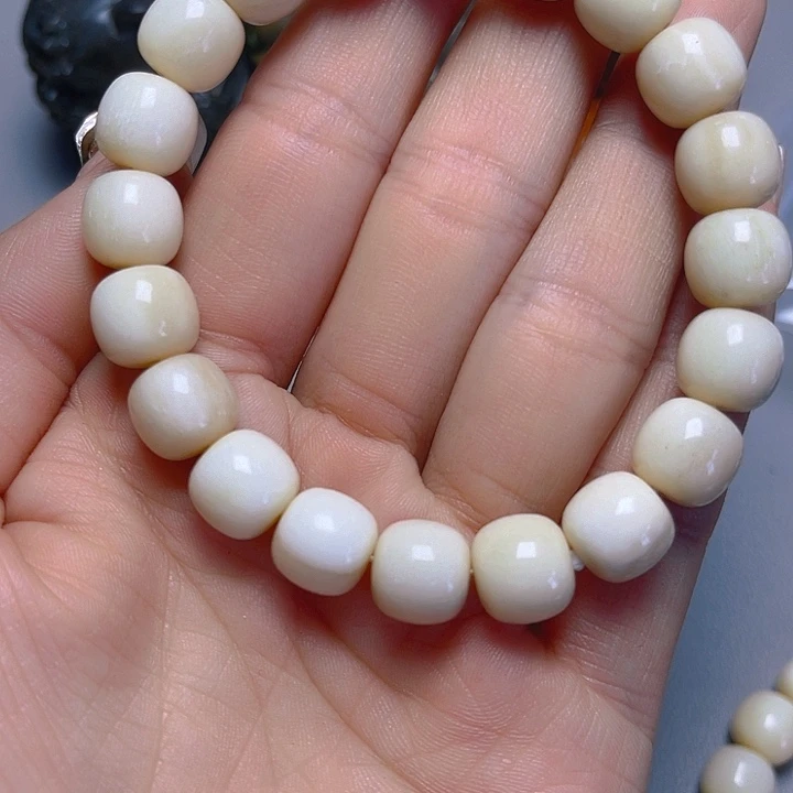 大果紫檀（缅甸花梨）