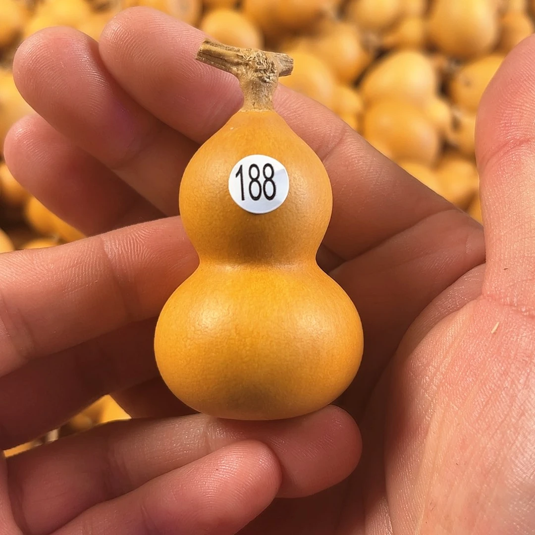 二葫芦葫芦葫芦葫芦188