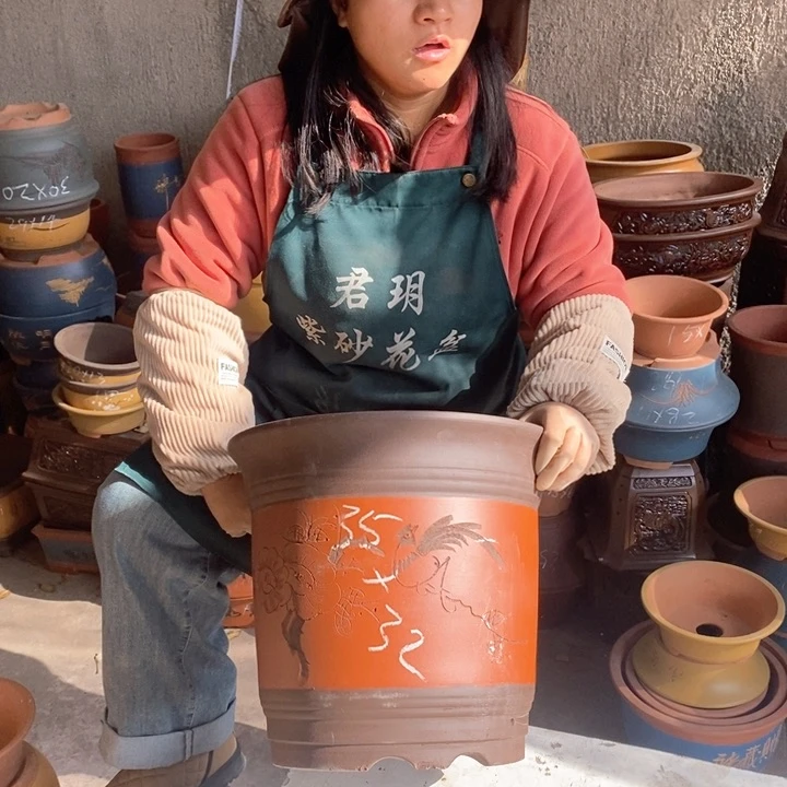 紫砂花盆盆栽花卉苗木种植