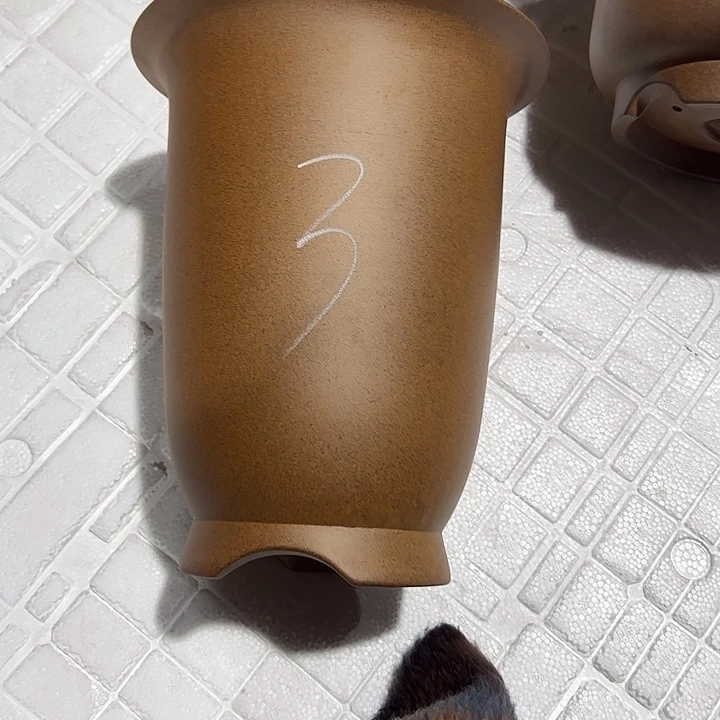 陌***薇花盆紫砂柴烧大金钟3号