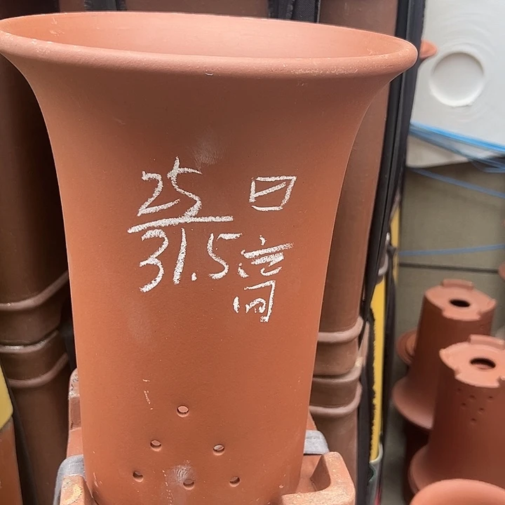 周深周深周深周深周深